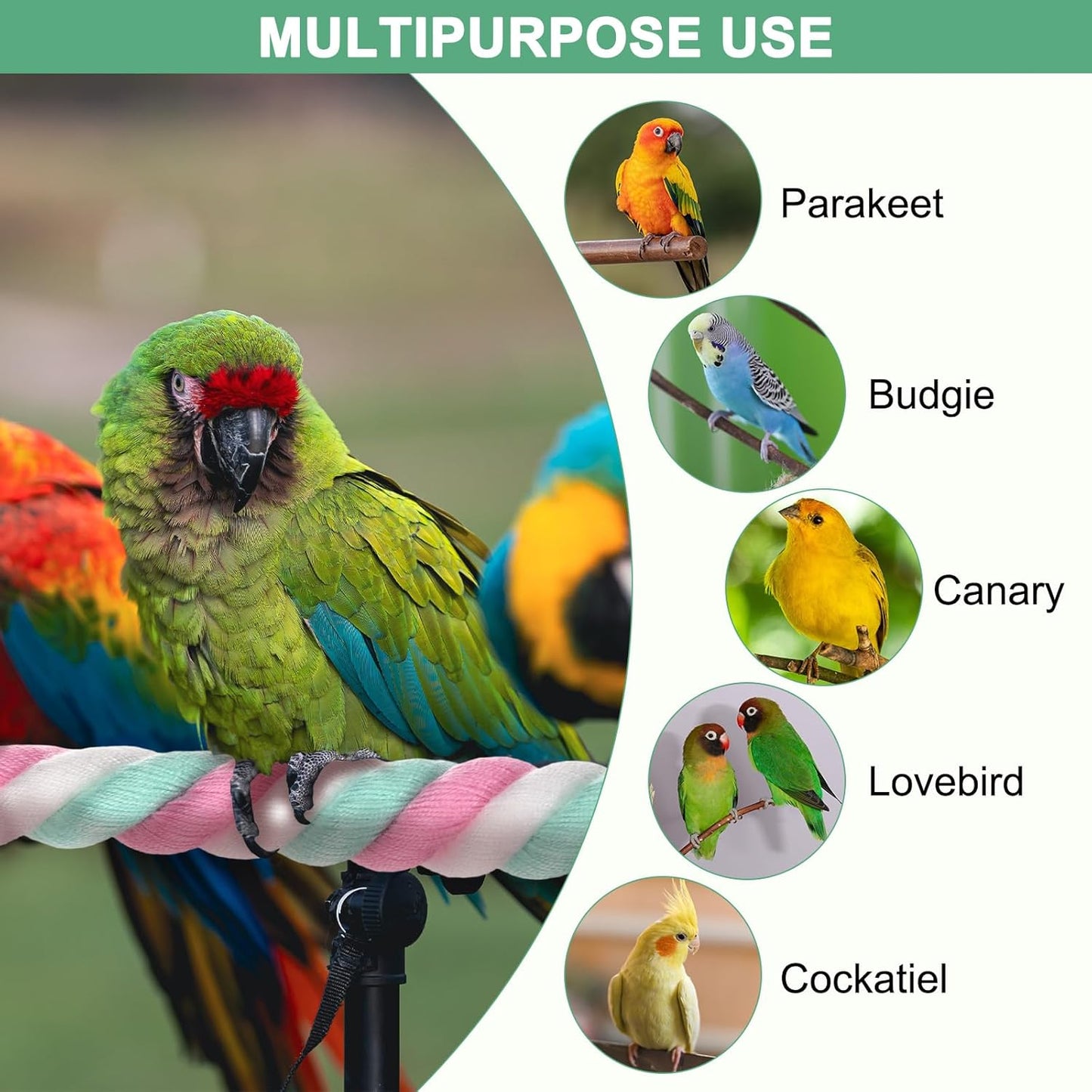 2-Pack Rope Perches for Bird Cages, 31.5 in Length Comfort Grip Flexible Rope Perch Beak & Paw Grinding for Parrots/Cockatiels/Parakeets, Bird Platform Sand [Pink Cyan]