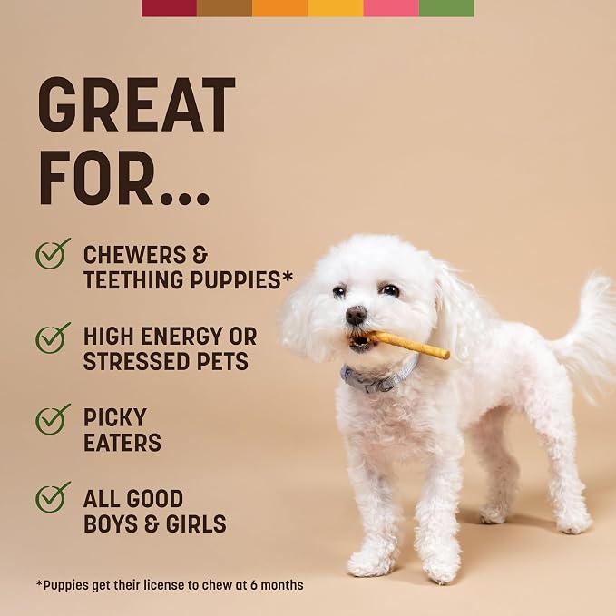 Earth Animal No Hide Stix - Long Lasting Rawhide Free Small Dog Chews Sticks, Pork - 30 Count
