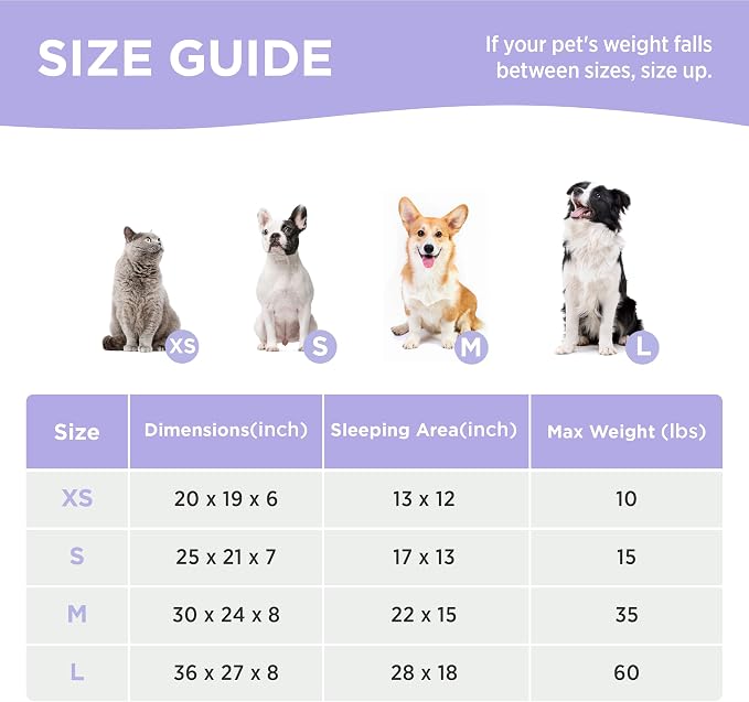 LE SURE Cute Dog Bed for Small Dogs - Washable Puppy Beds,Cozy Rectangle Orthopedic Pet Sofa with Jacquard Shaggy Plush & Anti Slip Bottom,25x21x7inches