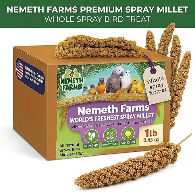 Nemeth Farms Spray Millet - Edible Tops Only, Non-GMO and Sun-Dried - 1 lb for Parakeets, Canaries and Finches