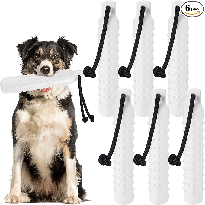 Blueweenly 6 Pcs Dog Bumper Toy for Water Retrieving Plastic Puppy Training Dummy Dog Float Toy Lightweight for Float on The Water Pool Outdoor Training Hunting Fetching (White)