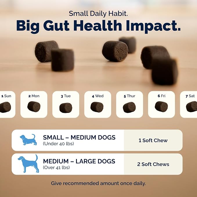 Vetnique Glandex Dog Probiotic Chews, Daily Probiotics for Dogs 5 Strains, Prebiotics & Digestive Enzymes for Gut & Immune Health, Vet Formulated for Occasional Diarrhea (120ct Chews, Proboitic Chews)