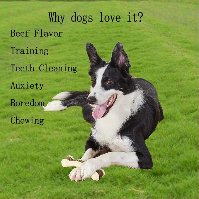 Dog Chew Toys for Aggressive Chewers Large Breed,2 Pack Beef Flavor Indestructible Dog Teething Chew Toys Bones for Large/Medium/Small Puppies,Pet Toy with Nylon
