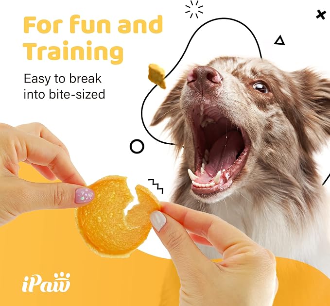 iPaw 3 Combo Turkey Chips Dog Treats for Puppy Training, SQF Certified Human Grade Dog Treat, Hypoallergenic, Easy to Digest (Turkey Chips), 3 Packs