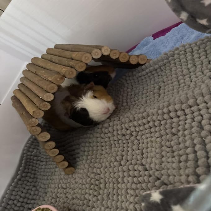 kathson Wooden Hamster Bridge,Guinea Pig Wood Ladder Bendable Tunnel Hideout Hut Small Animal Climbing Toys for Ferret Hedgehog Chinchilla Mice Rat Gerbil Baby Rabbit(19.6 x 6.0 in)