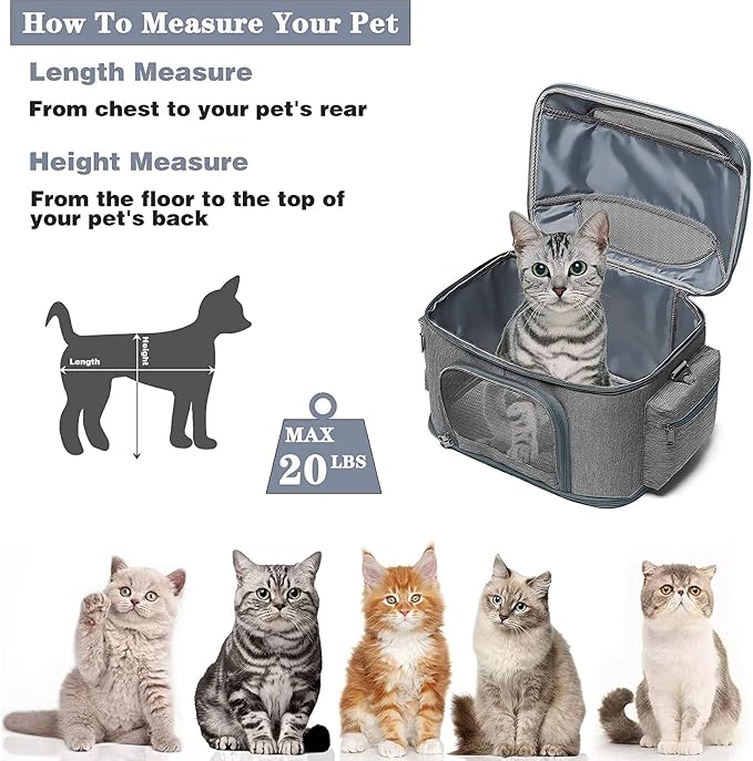 Expandable Pet Travel Bag,Mesh Window and Escape-Proof Buckle, Airline Approved Soft-Sided Pet Travel Carrier for Small Medium Cat
