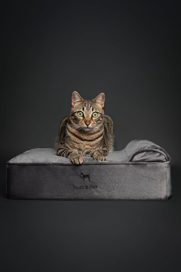 NOAH & PAW Small Dog Bed, 20x15x6.5 Inch, Cat Bed for Indoor Cats, Orthopedic Eggshell Memory Foam Infused with Cooling Gel, Water Resistant, Machine Washable, Includes Inner Cover (Velvet Collection)