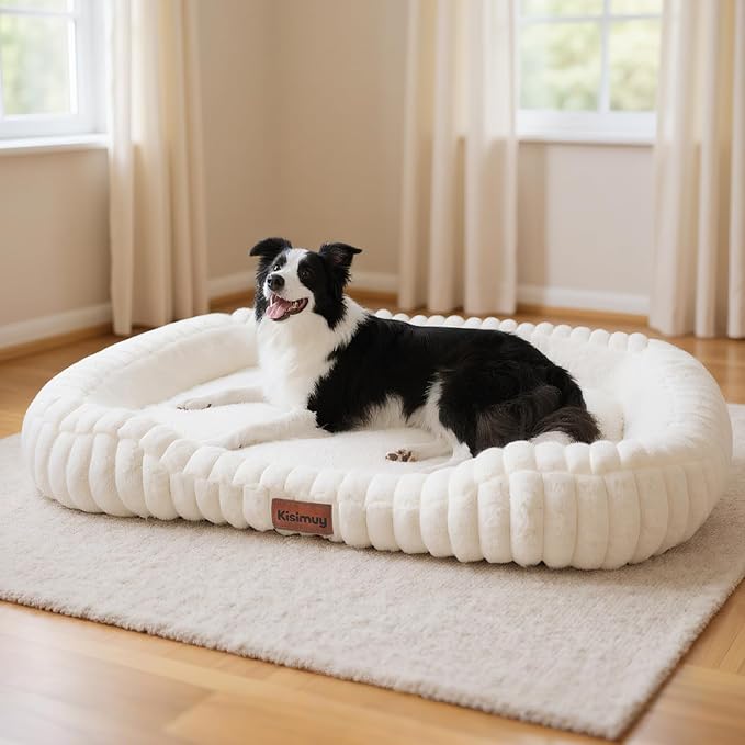Orthopedic Dog Bed, Washable XXL Dog Couch for Senior Dogs | 43L x 31W x 5.5H, Egg-Crate Foam, Low Front Entry Design, Removable Cover, Non-Slip Bottom, Extra Large Dog Bed, Cream