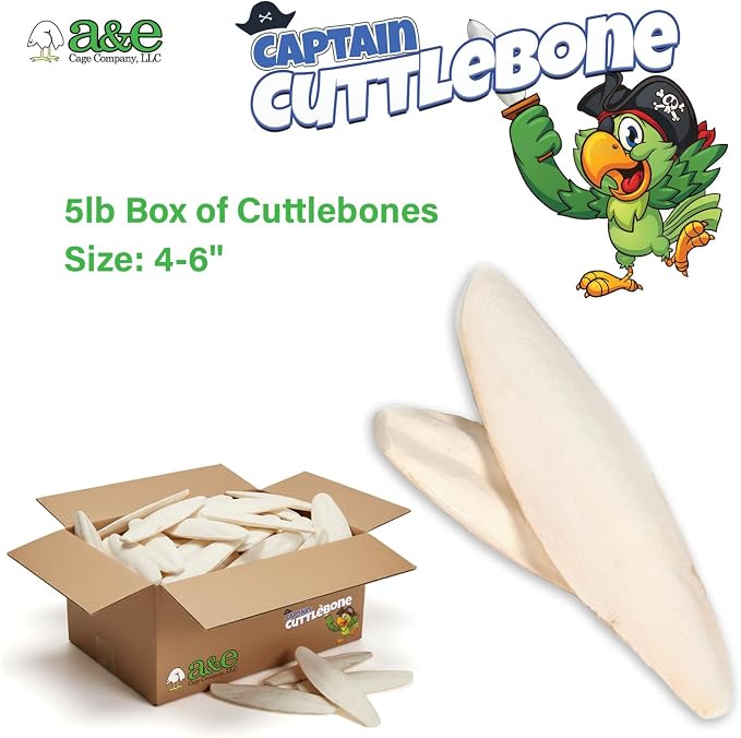 Captain Cuttlebone AE9011 Natural Bird Cuttlebone – 5lb Bulk Box of 4–6" Pieces – Calcium Supplement for Parakeets, Budgies, Finches, Canaries, Lovebirds & Small Birds