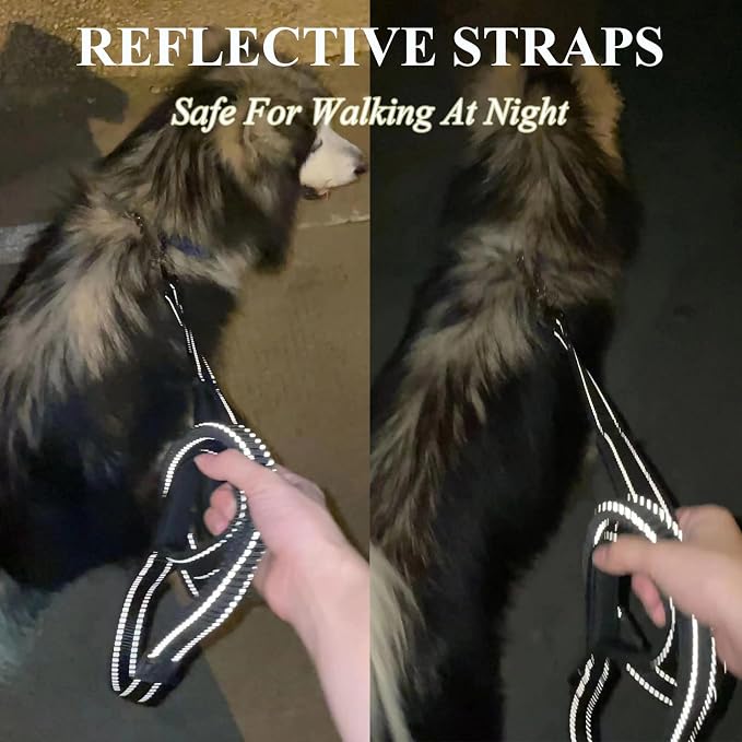 ECO-CLEAN 360 Count Dog Waste Bags with dispenser, 6 Ft Shock Absorbing Retractable Dog Leash with Padded Double Handle