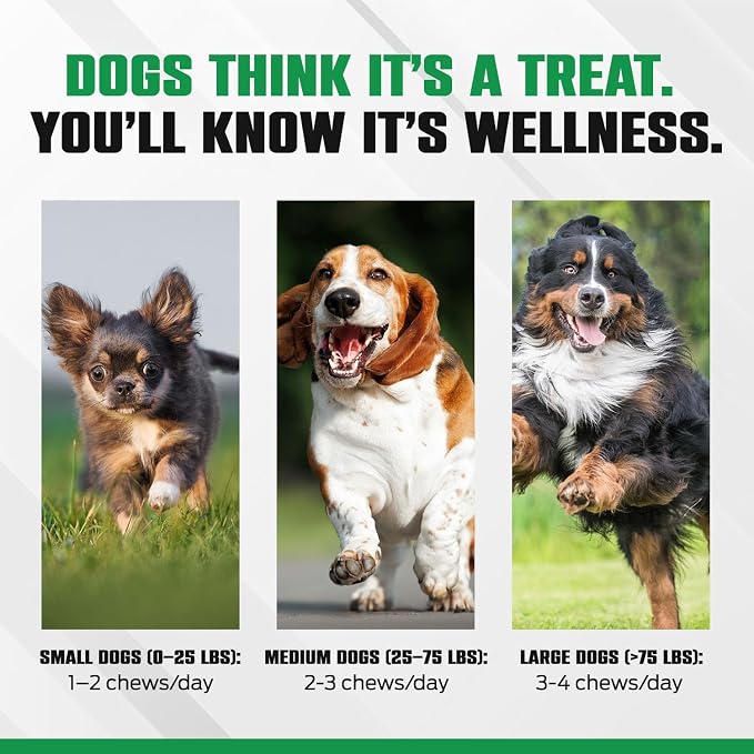 K10 Probiotic Chews for Dogs (10ct) – Advanced Digestive Support with Probiotics, Prebiotics & Superfoods – Vet-Preferred Dog Supplement for Digestion, Immunity, Skin, Coat & Everyday Vitality