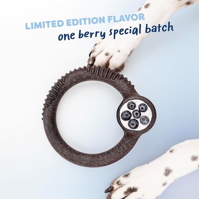 Benebone Limited Edition Blueberry Large 4-Pack Dog Toys for Aggressive Chewers, Durable Dog Bones, Made in USA, Dog Toys for Large Dogs Under 90 lbs