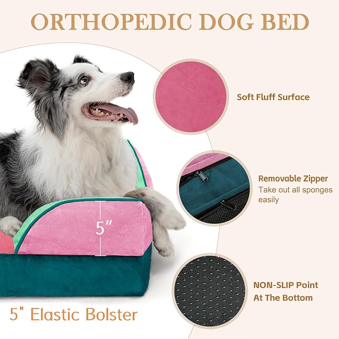 Comfort Expression Orthopedic Dog Bed for Extra Large Dogs 42x30 Inch, Waterproof Egg Crate Foam XL Pet Bed with Bolsters, Dog Couch with Washable Cover & Non-Slip Bottom, Mint-Berry Dream