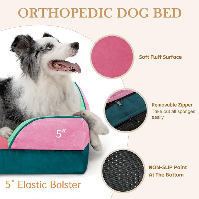 Comfort Expression Orthopedic Dog Bed for Large Dogs 36x27 Inch, Waterproof Egg Crate Foam Large Pet Bed with Bolsters, Dog Couch with Washable Cover & Non-Slip Bottom, Mint-Berry Dream