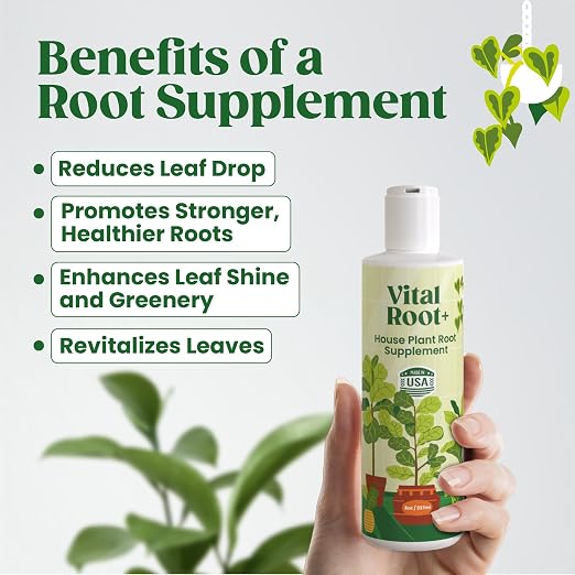 Root Rot Repair & Plant Transplant Shock Recovery – Liquid Supplement for Indoor Plants, Fiddle Leaf Fig, Monstera & Pothos | Heals Roots, Prevents Brown Spots & Leaf Drop, 8 oz – Vital Root+