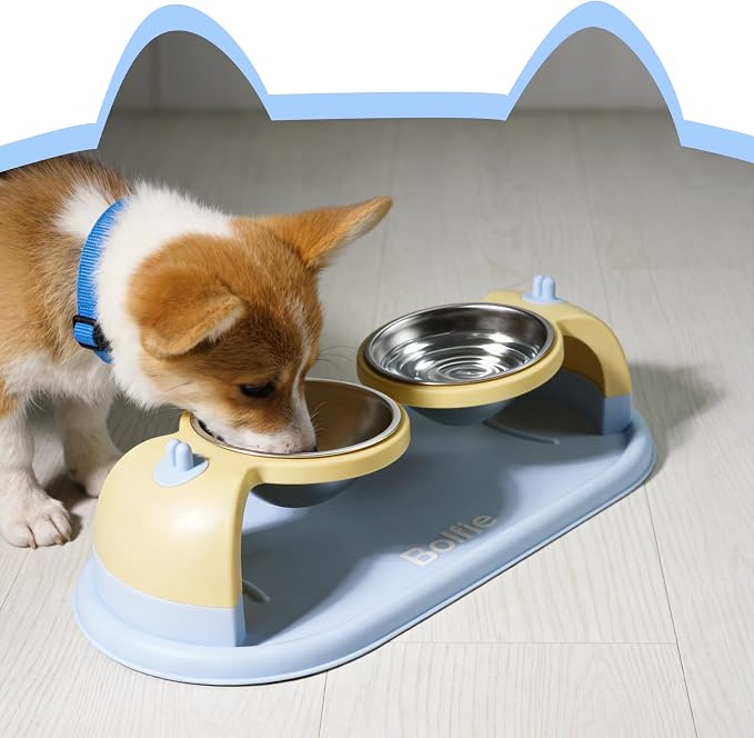 Elevated Stainless Steel Pet Bowls for Cats, 2-in-1 Food and Water Feeder with Non-Slip Base, with Spill-Proof Mat for Small Pets