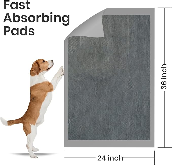 FPN Puppy Pads for Dogs Charcoal | Disposable Pee Pads for Puppies & Small Dogs | Pet Training Pads for Potty Training, Small Dog Pee Pads, Puppy Pads Bulk (25, 24x36 Inch)