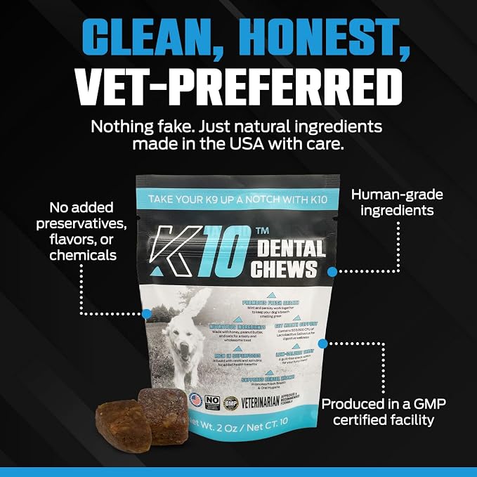 K10 Dental Chews (10 Count) – Low-Calorie Dog Chew with Human-Grade Ingredients – Dog Chews that Support Fresh Breath, Oral Hygiene, Digestion & Vitality – Vet-Preferred Dental Treats for Dogs