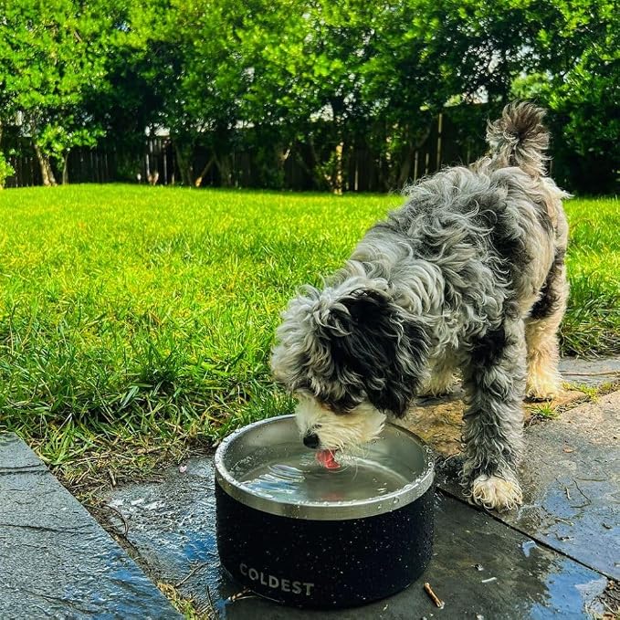 Coldest Dog Bowl - Anti Rust Metal, Non Slip, 3 Layers Insulated Stainless Steel Dog Bowls - Spill Proof & Heavy Duty - Water Bowl for Dogs, Cats & Pets, Dish Washer Safe (42 oz, Solar Yellow)