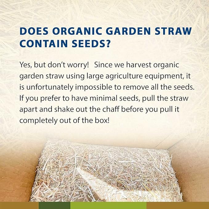 Blue Mountain Hay Organic Garden Straw (10 lb) - Natural Mulch for Gardening, Flower Beds & Landscaping, New Lawn Grass Seeding, Compost, Raised Garden Bed, Cat Grass & Grass Seed
