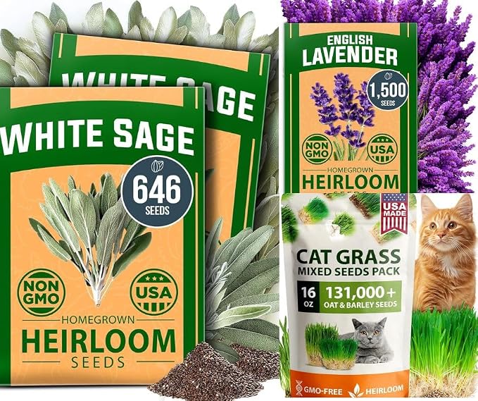 HOME GROWN White Sage Seeds 646 & English Lavender 1,500 & 1 Pound Cat Grass Seeds for Cat & Kittens