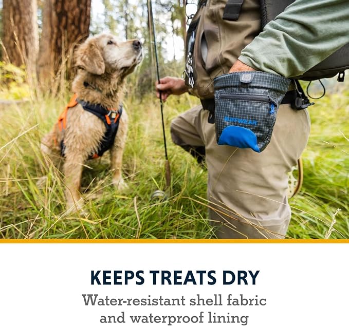 Ruffwear Treat Trader Dog Treat Pouch, Hands-Free Waist-Worn, One-Handed Magnetic Closure, Belt (30-48 in) or Clip, Waterproof Food-Grade Lining, Zippered Pocket, Clicker Loop, Blue Pool, Granite Gray
