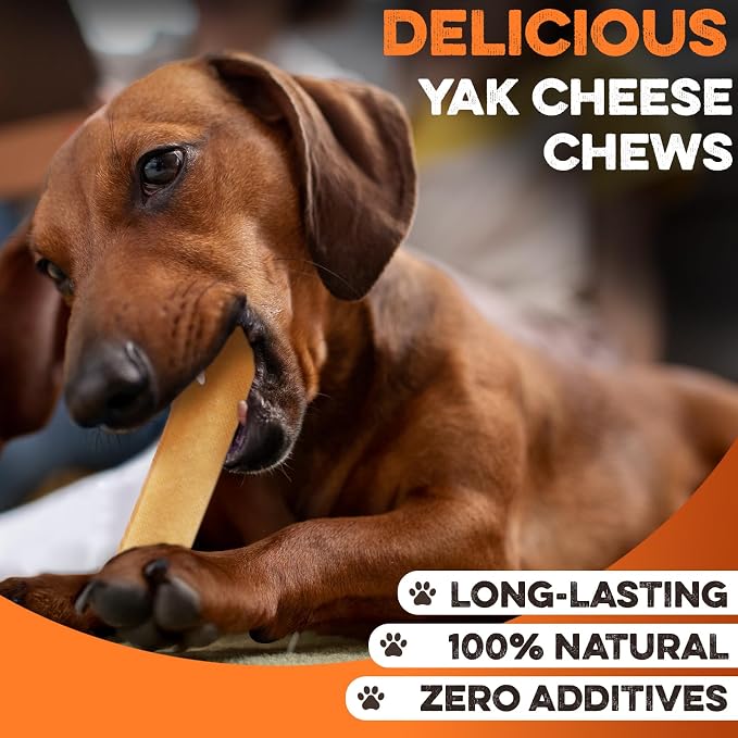 BRUTUS & BARNABY Yak Cheese Himalayan Dog Chews for Aggressive Chewers – Rich in Nutrients, Long Lasting Yak Chews for Small to Large Dogs.(12pk)