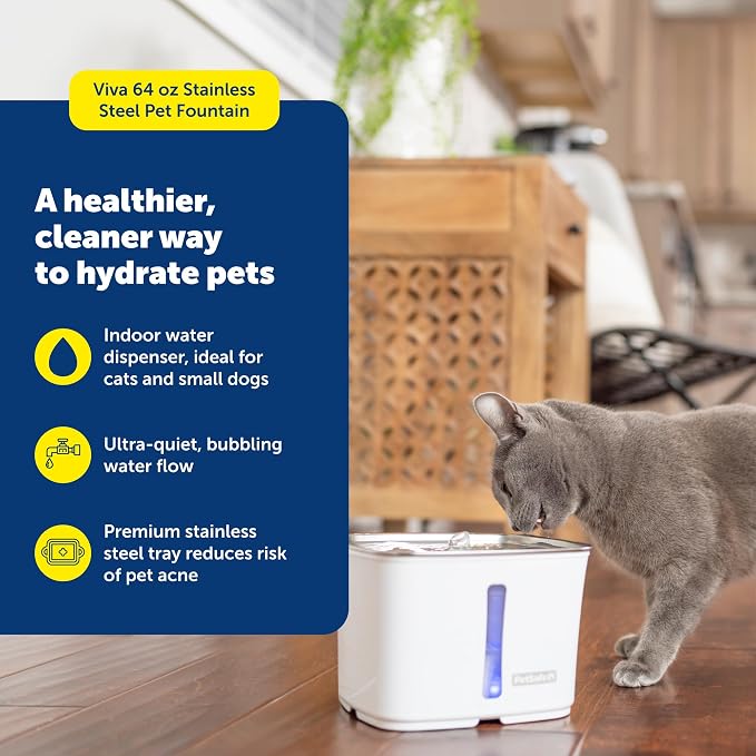 PetSafe Viva Cat Water Fountain (64oz/1.8L) Indoor Water Dispenser for Cats and Small Dogs, Stainless-Steel Bowl with Whisper Quiet Pump, Dishwasher Safe, Easy to Clean, Water Filters Included