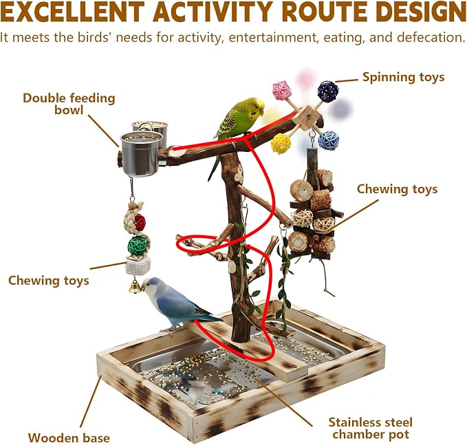 Large Bird Playground with Natural Wood perches, Suitable for Small Birds Such as Budgies, Conures, and Lovebirds. Includes Feeding Cups, a Swing, and Bird Chewing Toys.