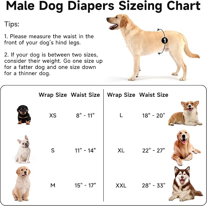5 Pack Dog Diapers Male Reusable, Premium Belly Bands for Male Dogs, High Absorbing Male Dog Pee Wraps for Doggie in Incontinence or Excitable Urination and Training,Light Gray,M