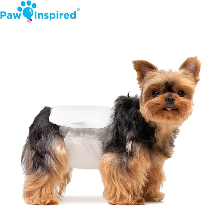 Paw Inspired Male Dog Wraps, Disposable Dog Diapers | Belly Bands for Small, Medium, Large Dogs (32 Count, Size X-Small)