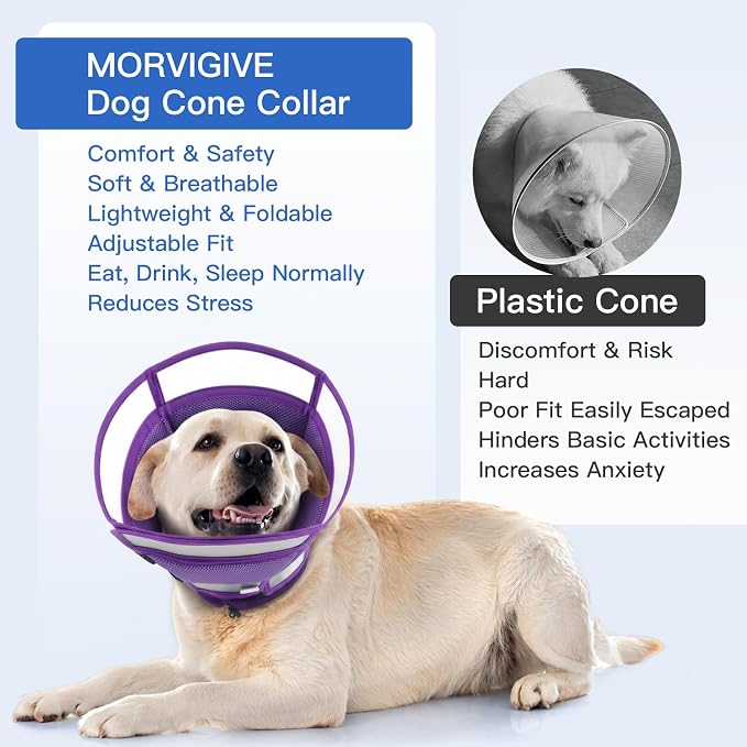 Dog Cone Alternative for Small Dogs to Stop Licking | Adjustable Recovery E-Collar for After Surgery & Wounds, Lightweight & Comfortable Elizabethan Protective Cone (Purple, M)