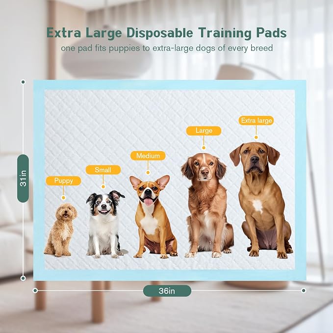 Large Puppy Pee Pads for Dogs 31" x 36" 100 Count, 6-Layer Leak-Proof XXL Dog Pee Pads Extra Large, Super Absorbent Quick-Dry Thick Disposable Potty Training Pads