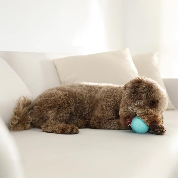 Playology Dog Toys | Dual Layer Ball Durable Chew Toy for Tough Chewers | Peanut Butter Medium Scented Dog Toy | Chew Toys for Dogs