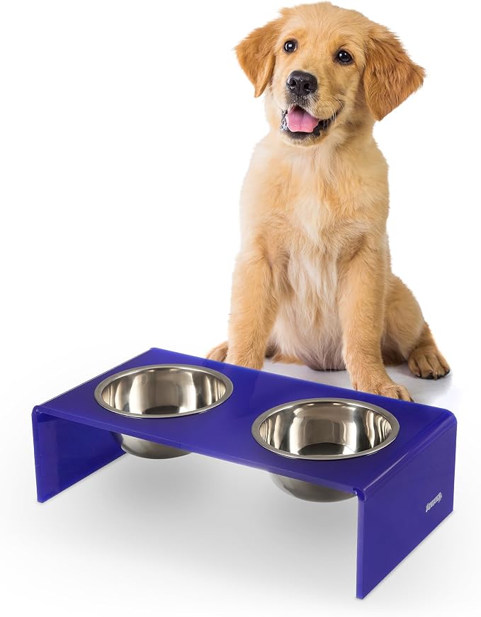 DBL2000F Keaton 5" Small/Medium Modern Acrylic Rectangular Elevated Pet Feeder with 20oz 2-Stainless Steel Bowls, Purple/Chrome