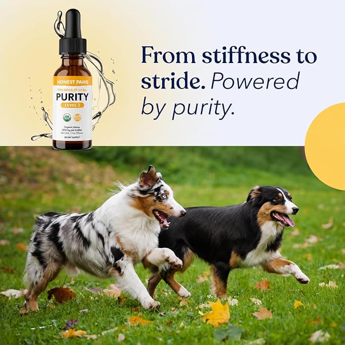 Honest Paws Hemp Oil for Dogs - Natural Hemp Seed Oil Drops Rich in Omega 3 6 9 - May Help Support Calm Behavior, Physical Comfort & Overall Wellness - Made in USA