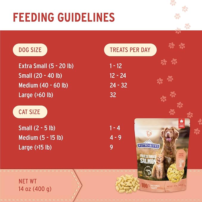 Nutri Bites Freeze Dried Salmon Dog & Cat Treats, 14oz | Healthy Pet Training Treats or Food Topper | All Natural, 1 Single Animal Protein, High Protein