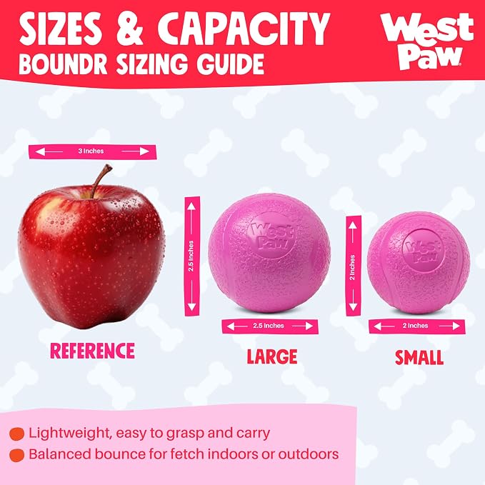 WEST PAW Boundr Ball Dog Fetch Toy – Bouncing Toys for Dogs, Fetch, Catch, Chewing, Play – Floatable, Recyclable Balls – Small Hotpink/Glow 2-Pack