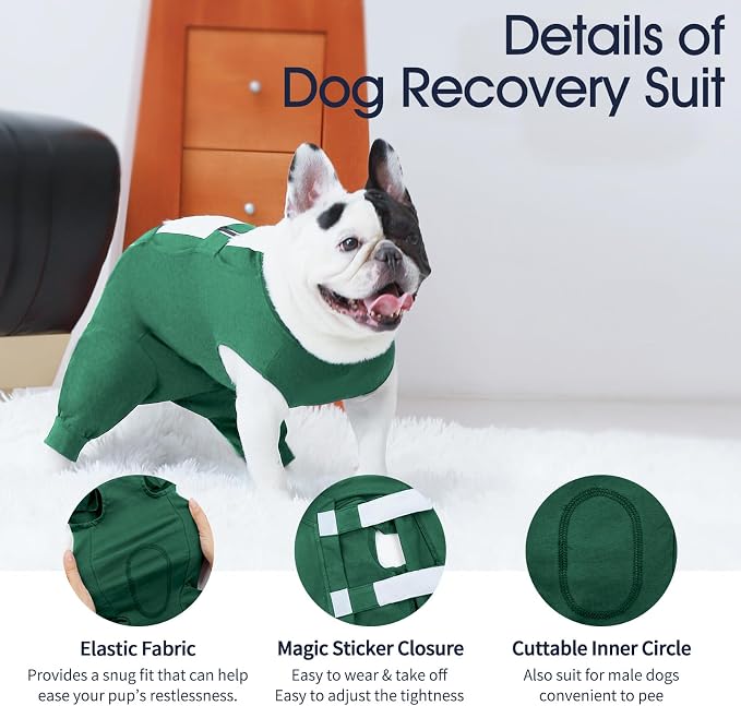IECOii Dog Surgery Recovery Suit for Female Or Male Dogs,Post Surgery Dog Onesies for Spay Neuter,Small Dog Surgical Suit for Abdominal Wound and Rear Leg,Dogs E-Collar & Cone Alternative,S-Green