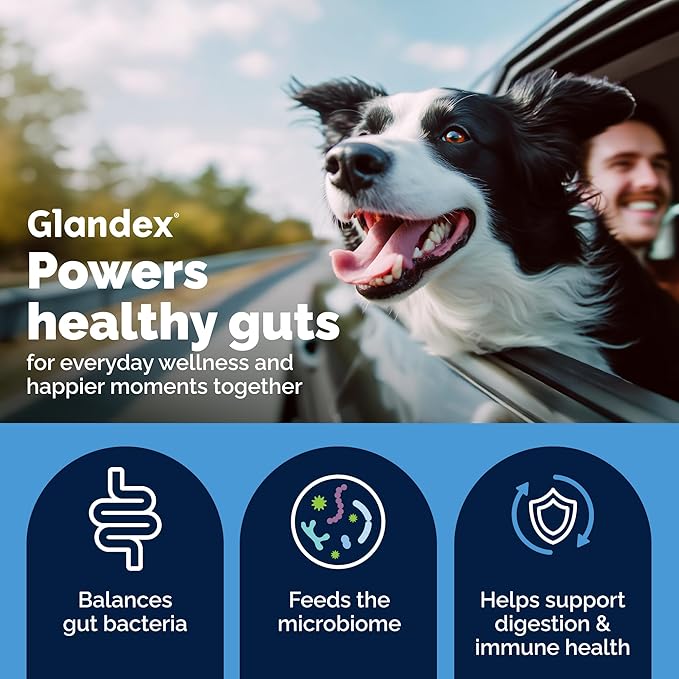 Vetnique Glandex Dog Probiotic Powder, Daily Probiotics for Dogs 5 Strains, Prebiotics & Digestive Enzymes for Gut & Immune Health, Vet Formulated for Occasional Diarrhea (4.25oz Powder, Pork Powder)
