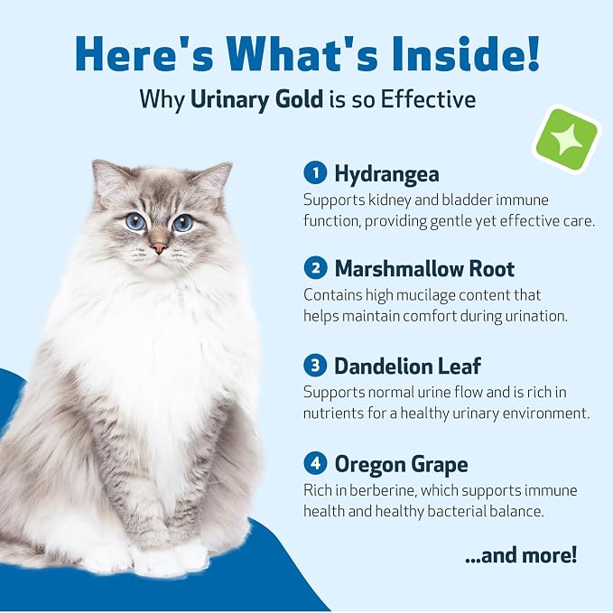 Pet Wellbeing Urinary Gold for Cats - Vet-Formulated Multi-Herb Urinary Tract Support - Feline Bladder Health & Urinary System Wellness - Holistic Cat Supplement - Liquid Formula 2 oz (59ml)