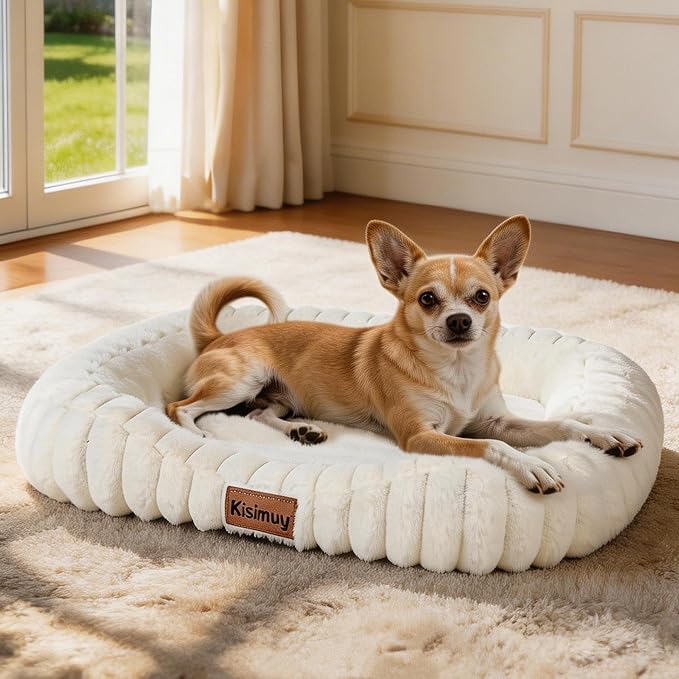 Orthopedic Dog Bed, Washable Small Dog Couch for Senior Dogs | 25L x 21W x 4H, Egg-Crate Foam, Low Front Entry Design, Removable Cover, Non-Slip Bottom, Small Dogs, Cream