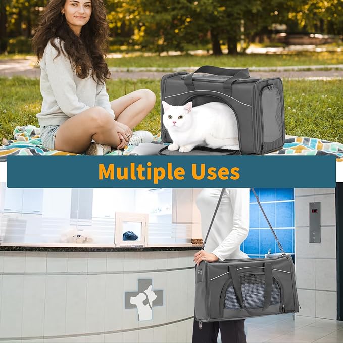 ‌Petsfit Airline Approved Pet Carrier for Small Cats, 15x8x10 TSA Approved Carrier, with Removable Dual-Sided Padding (2-Way Placement) - Fits Under Most Airplane Seats, Escape Proof (Grey)