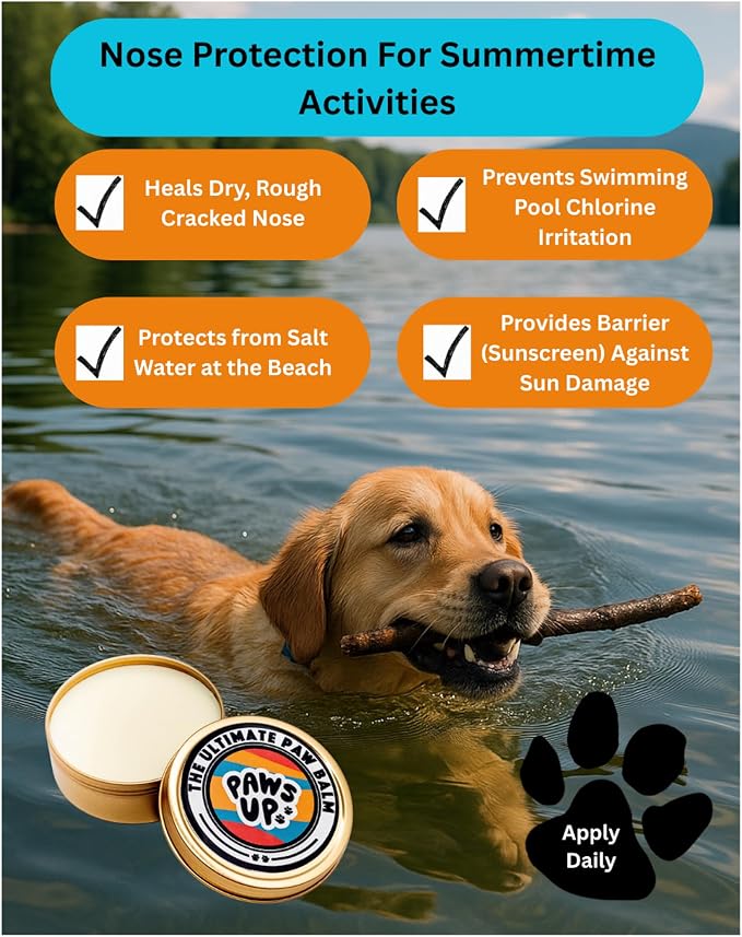 Paw Balm Lick-Safe with Healing Calendula Oil. 100% Natural. Must Have for Any Dog.