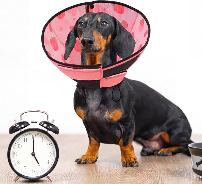 Queenmore Dog Cone, Dog Cones for Small Dogs, Adjustable Soft Cone for Dogs Recovery Collars & Cones, Comfortable Pet Cone After Surgery for Wound Healing, Strawberry S