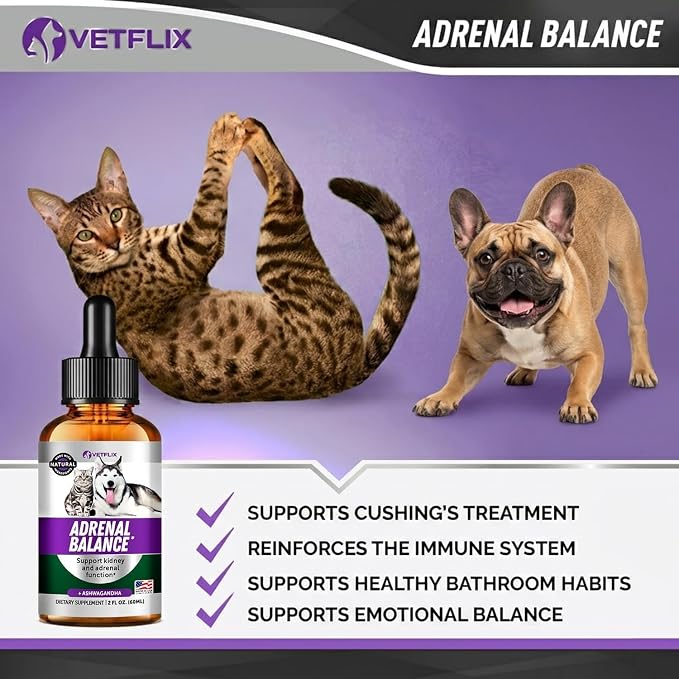 Adrenal Support Liquid Supplement for Dogs, Cats, Puppies & Kittens, 2 Oz | Cushing's and Kidney Support, Natural Endocrine Health Formula