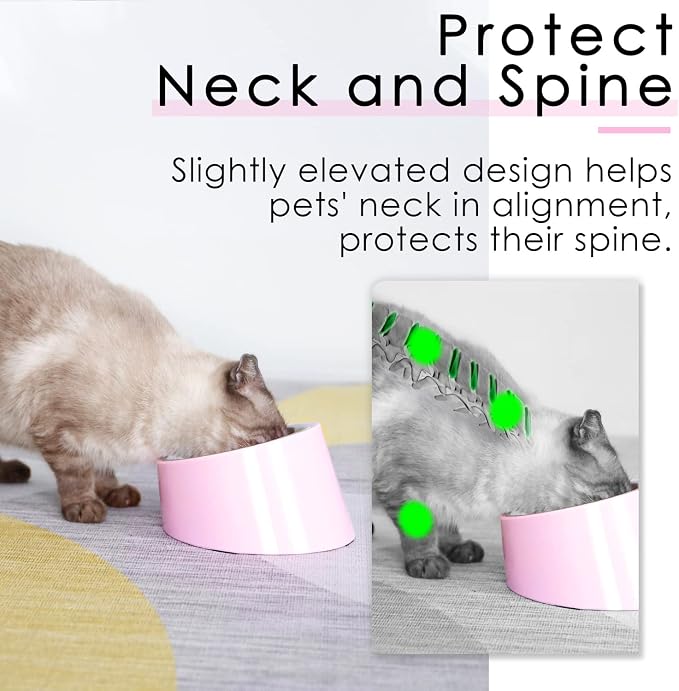 SuperDesign Mess Free 15° Slanted Bowl for Dogs and Cats, Tilted Angle Bulldog Bowl Dog Feeder, Non-Skid & Non-Spill, Easier to Reach Food L/2 Cup Pink