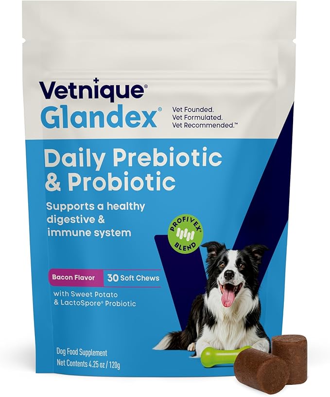 Vetnique Glandex Dog Probiotic Chews, Daily Probiotics for Dogs 5 Strains, Prebiotics & Digestive Enzymes for Gut & Immune Health, Vet Formulated for Occasional Diarrhea (30ct Chews, Probiotic Chews)
