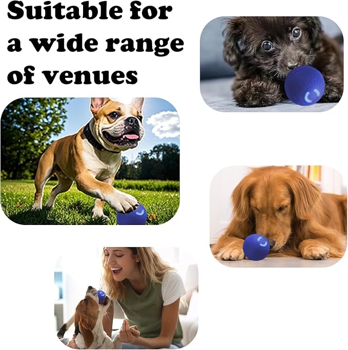 Interactive Duraspin Dog Ball, Self-Bouncing Vibrating & Auto-Rolling, Auto Stop Touch Start Jumping Ball Toy for Medium/Large Dogs (S, Blue)