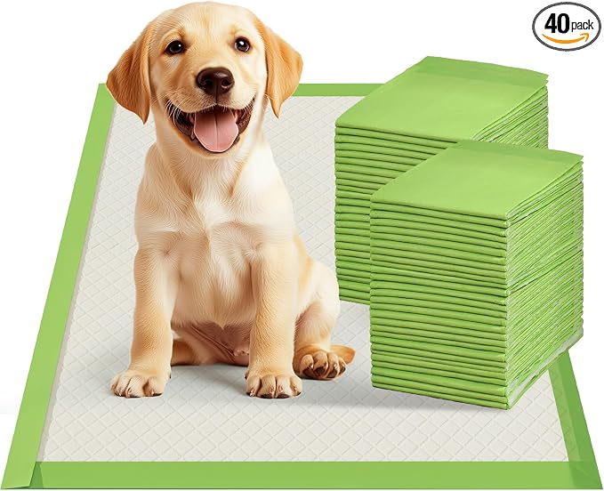 Gardner Pet Dog Pee Pads Rugular 22"x22", Thicker ECO Green Small Disposable Puppy Training Pads Super Absorbent Full Edge-Wrapping Pad for Dogs, Puppies, Doggies, Cats-(40 Count)